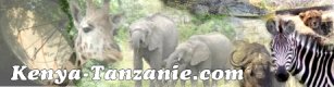Le Kenya, la Tanzanie et Zanzibar