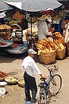 Cliquer pour agrandir