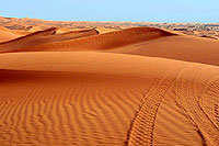 Une vritable mer de sable - Cliquez pour agrandir