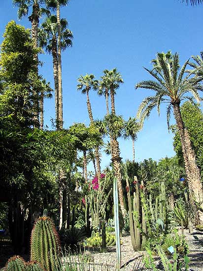 Le jardin Majorelle 